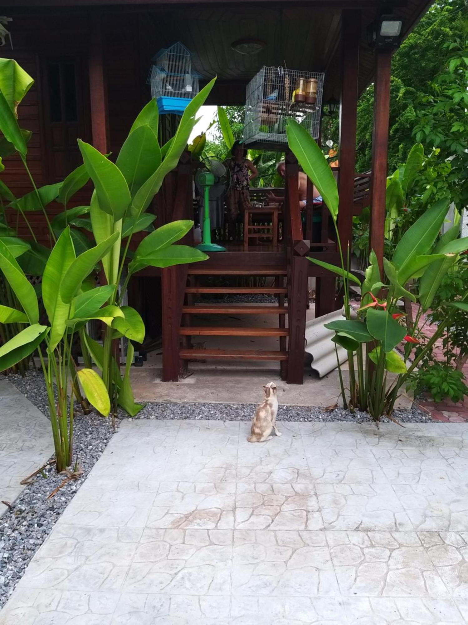 บ้านทะเลอิ่มเอม Bann Talay Im Eimm Ban Phe Exteriér fotografie